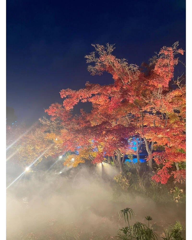 ブログ