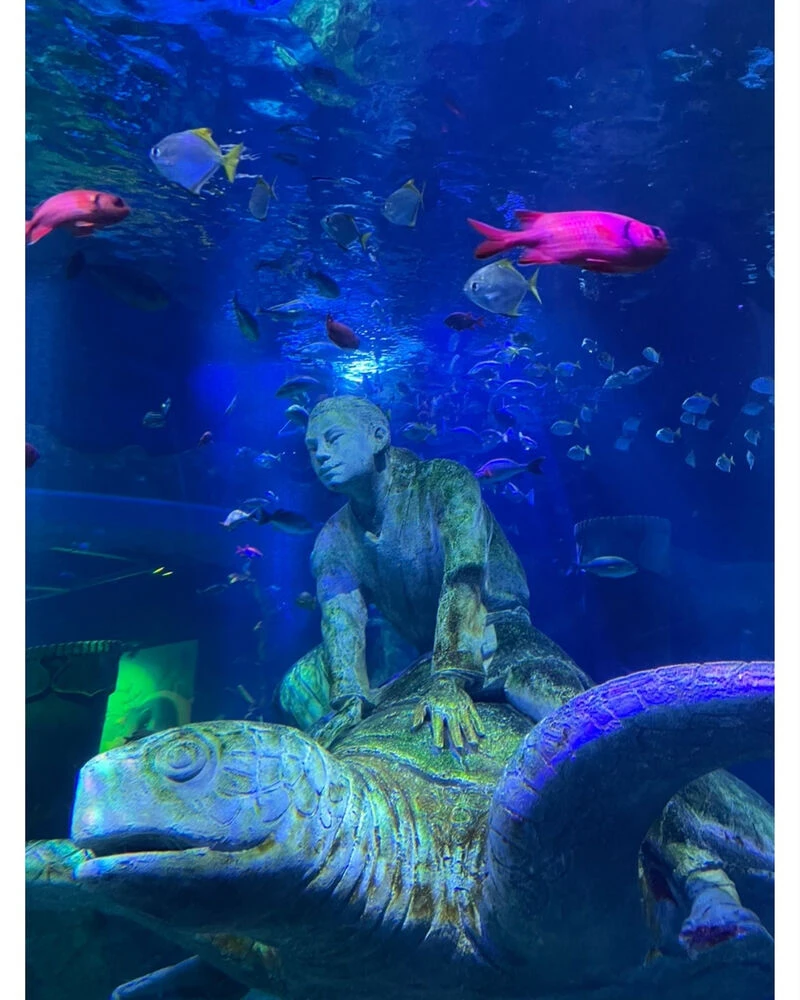 ブログ